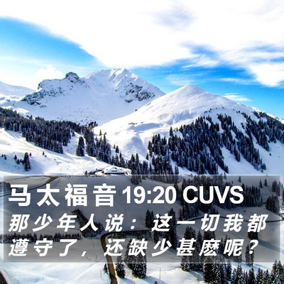 马 太 福 音 19:20 CUVS Bible Verse Image