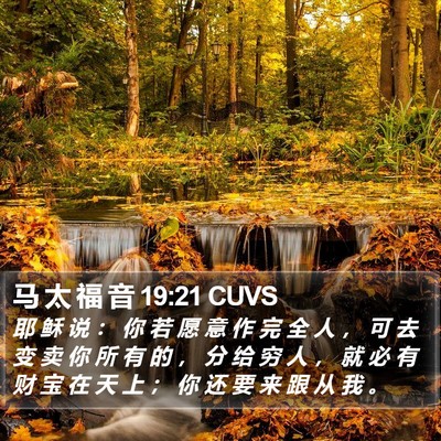 马 太 福 音 19:21 CUVS Bible Verse Image