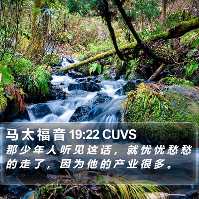 马 太 福 音 19:22 CUVS Bible Verse Image
