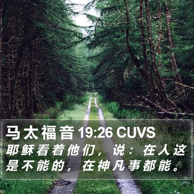 马 太 福 音 19:26 CUVS Bible Verse Image