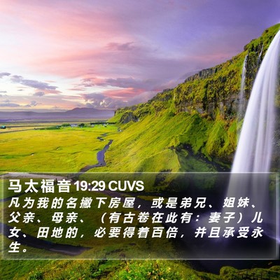 马 太 福 音 19:29 CUVS Bible Verse Image