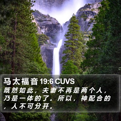 马 太 福 音 19:6 CUVS Bible Verse Image