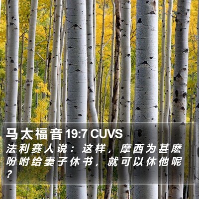 马 太 福 音 19:7 CUVS Bible Verse Image
