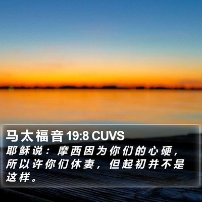 马 太 福 音 19:8 CUVS Bible Verse Image