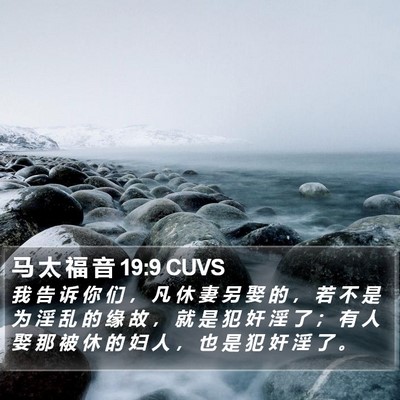 马 太 福 音 19:9 CUVS Bible Verse Image