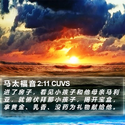 马 太 福 音 2:11 CUVS Bible Verse Image