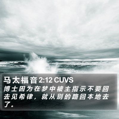 马 太 福 音 2:12 CUVS Bible Verse Image