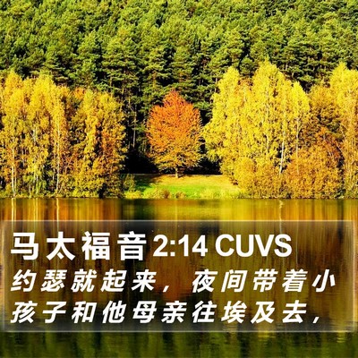 马 太 福 音 2:14 CUVS Bible Verse Image