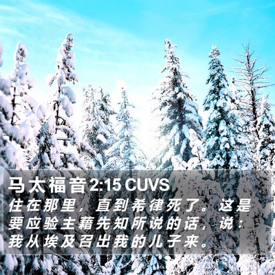马 太 福 音 2:15 CUVS Bible Verse Image