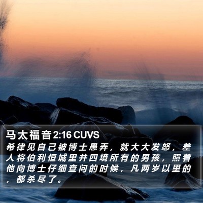 马 太 福 音 2:16 CUVS Bible Verse Image