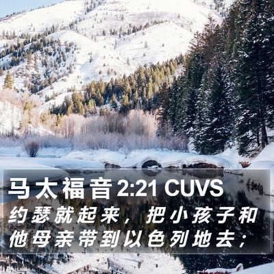 马 太 福 音 2:21 CUVS Bible Verse Image