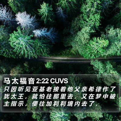 马 太 福 音 2:22 CUVS Bible Verse Image