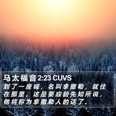 马 太 福 音 2:23 CUVS Bible Verse Image
