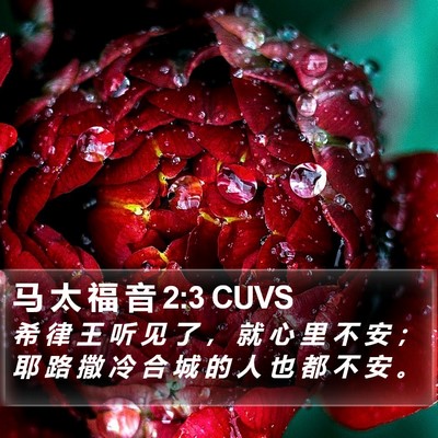 马 太 福 音 2:3 CUVS Bible Verse Image