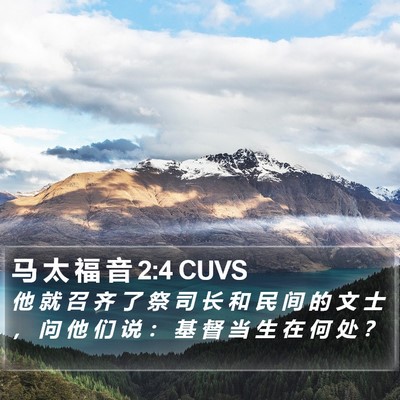马 太 福 音 2:4 CUVS Bible Verse Image
