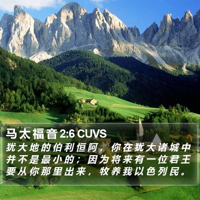 马 太 福 音 2:6 CUVS Bible Verse Image