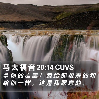 马 太 福 音 20:14 CUVS Bible Verse Image