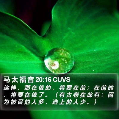 马 太 福 音 20:16 CUVS Bible Verse Image