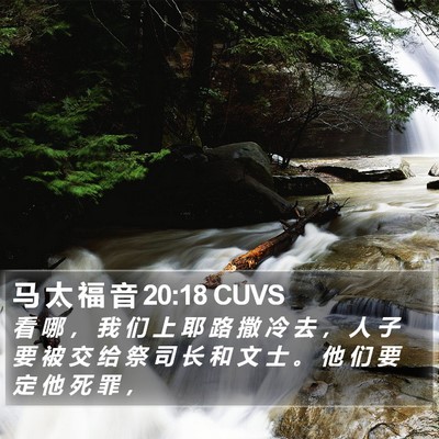 马 太 福 音 20:18 CUVS Bible Verse Image