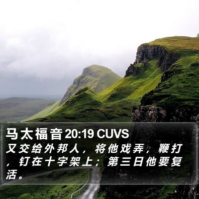 马 太 福 音 20:19 CUVS Bible Verse Image
