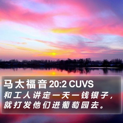 马 太 福 音 20:2 CUVS Bible Verse Image