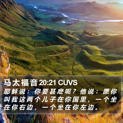 马 太 福 音 20:21 CUVS Bible Verse Image