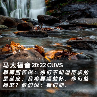 马 太 福 音 20:22 CUVS Bible Verse Image
