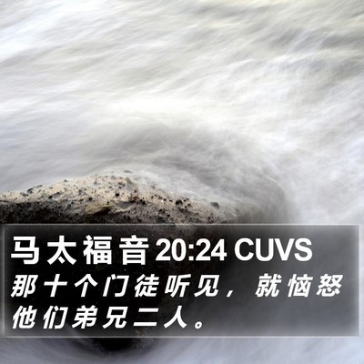 马 太 福 音 20:24 CUVS Bible Verse Image