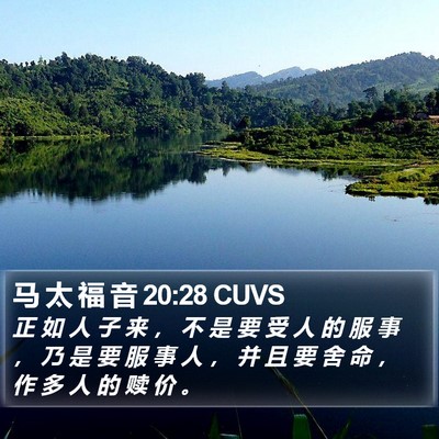 马 太 福 音 20:28 CUVS Bible Verse Image