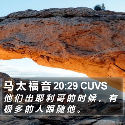 马 太 福 音 20:29 CUVS Bible Verse Image