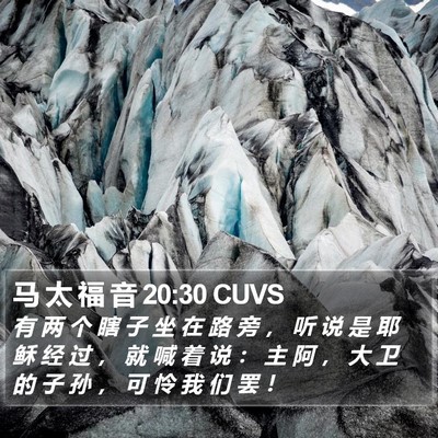 马 太 福 音 20:30 CUVS Bible Verse Image