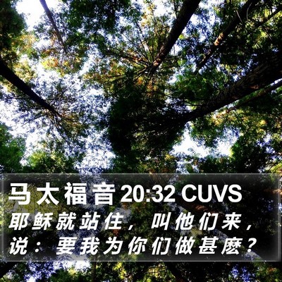 马 太 福 音 20:32 CUVS Bible Verse Image