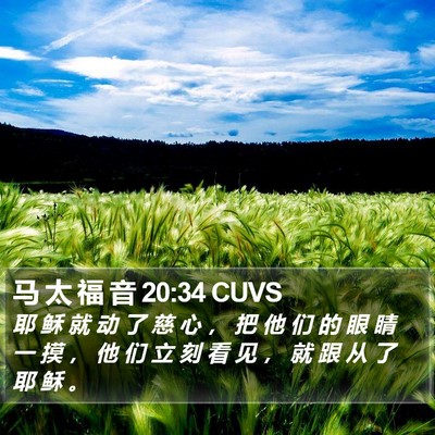 马 太 福 音 20:34 CUVS Bible Verse Image