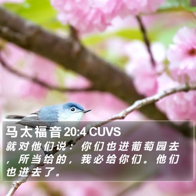 马 太 福 音 20:4 CUVS Bible Verse Image