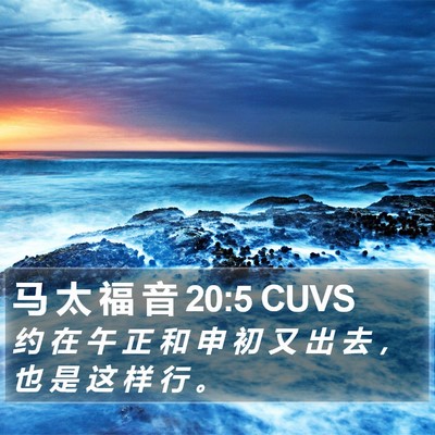马 太 福 音 20:5 CUVS Bible Verse Image