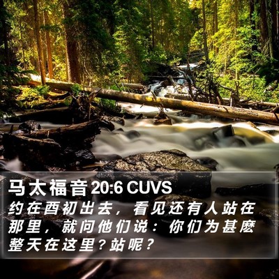 马 太 福 音 20:6 CUVS Bible Verse Image