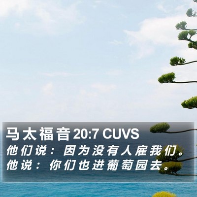 马 太 福 音 20:7 CUVS Bible Verse Image