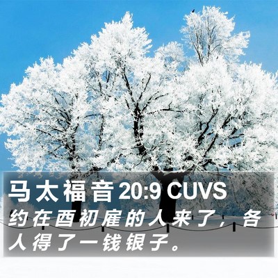马 太 福 音 20:9 CUVS Bible Verse Image