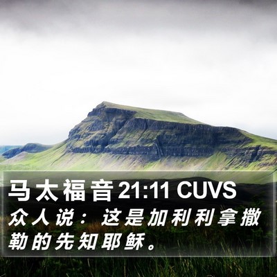 马 太 福 音 21:11 CUVS Bible Verse Image