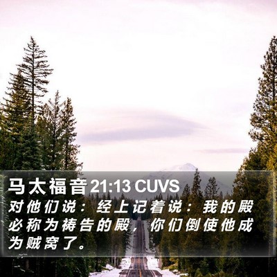 马 太 福 音 21:13 CUVS Bible Verse Image