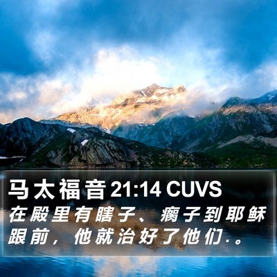 马 太 福 音 21:14 CUVS Bible Verse Image