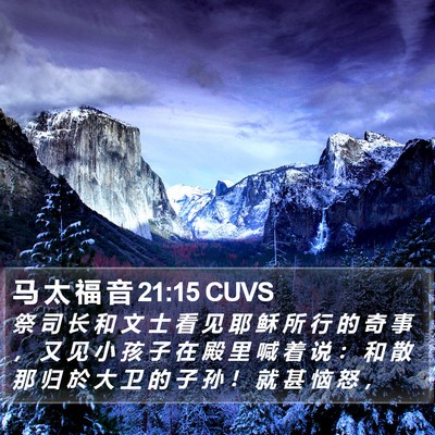 马 太 福 音 21:15 CUVS Bible Verse Image