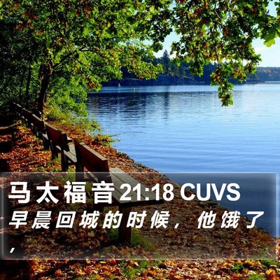马 太 福 音 21:18 CUVS Bible Verse Image