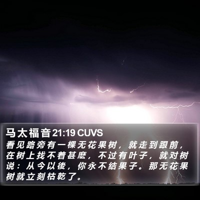 马 太 福 音 21:19 CUVS Bible Verse Image