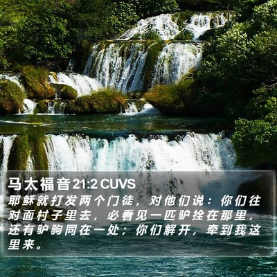 马 太 福 音 21:2 CUVS Bible Verse Image