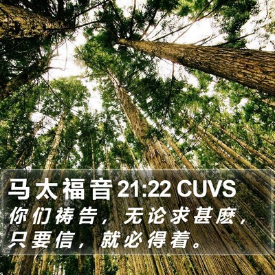 马 太 福 音 21:22 CUVS Bible Verse Image
