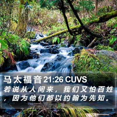 马 太 福 音 21:26 CUVS Bible Verse Image