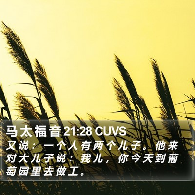 马 太 福 音 21:28 CUVS Bible Verse Image