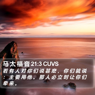 马 太 福 音 21:3 CUVS Bible Verse Image