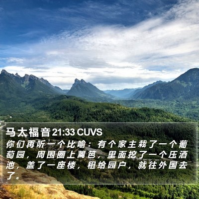 马 太 福 音 21:33 CUVS Bible Verse Image